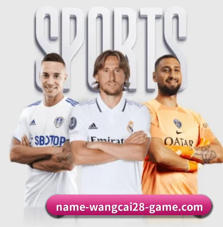 旺财28 APP 界面